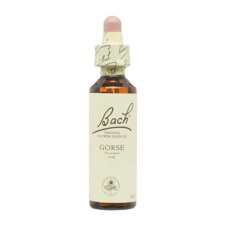 Flor nº 13 Aulaga (gorse) 20ml Bach
