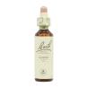 Flor nº 13 Aulaga (gorse) 20ml Bach