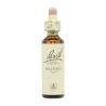 Flor nº 14 Brezo (heather) 20ml Bach
