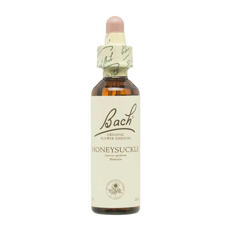 Flor nº 16 Madreselva (honeysuckle) 20ml Bach