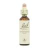 Flor nº 16 Madreselva (honeysuckle) 20ml Bach