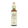 Flor nº 17 Hojarazo (hornbeam) 20ml Bach