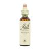 Flor nº 18 Impaciencia (impatients) 20ml Bach