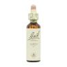 Flor nº 19 Alerce (larch) 20ml Bach