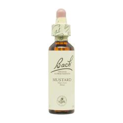 Flor nº 21 Mostaza (mustard) 20ml Bach