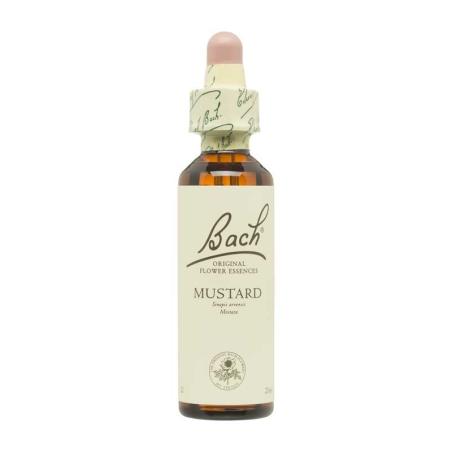 Flor nº 21 Mostaza (mustard) 20ml Bach