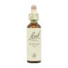 Flor nº 21 Mostaza (mustard) 20ml Bach