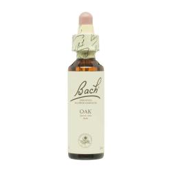 Flor nº 22 Roble (oak) 20ml Bach