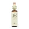 Flor nº 22 Roble (oak) 20ml Bach