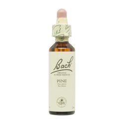 Flor nº 24 Pino silvestre (pine) 20ml Bach