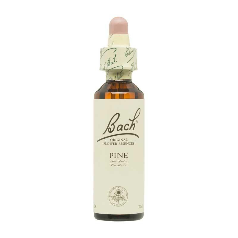 Flor nº 24 Pino silvestre (pine) 20ml Bach