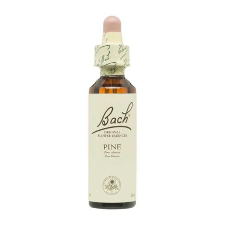 Flor nº 24 Pino silvestre (pine) 20ml Bach