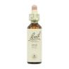 Flor nº 24 Pino silvestre (pine) 20ml Bach