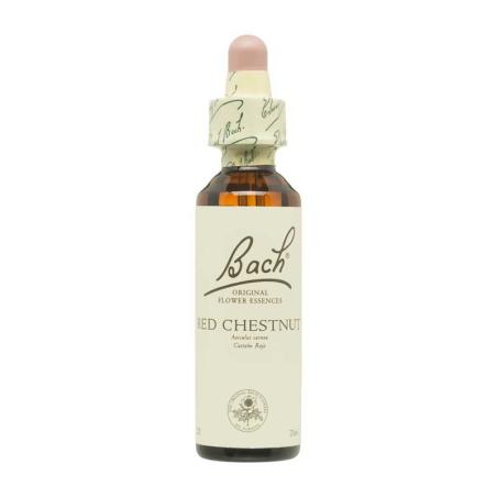 Flor nº 25 Castaño rojo (red chestnut) 20ml Bach