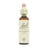 Flor nº 25 Castaño rojo (red chestnut) 20ml Bach