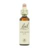 Flor nº 27 Agua de roca (rock water) 20ml Bach