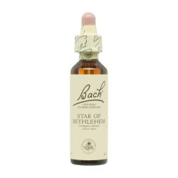 Flor nº 29 Leche de gallina (Star of Bethlehem) 20ml Bach