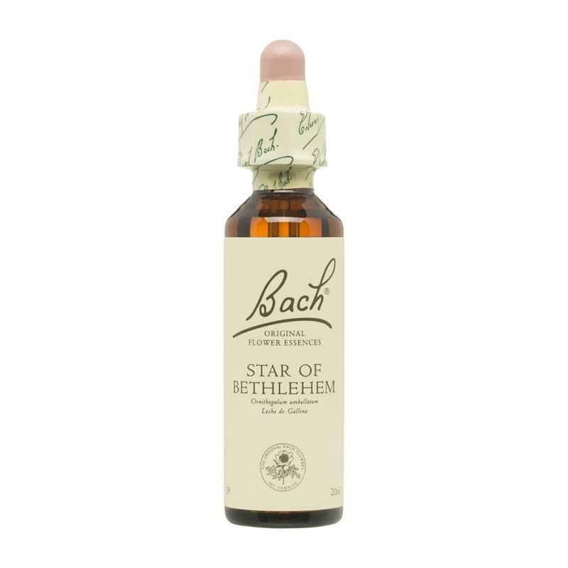 Flor nº 29 Leche de gallina (Star of Bethlehem) 20ml Bach