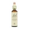 Flor nº 29 Leche de gallina (Star of Bethlehem) 20ml Bach