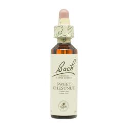 Flor nº 30 Castaño dulce (sweet chestnut) 20ml Bach