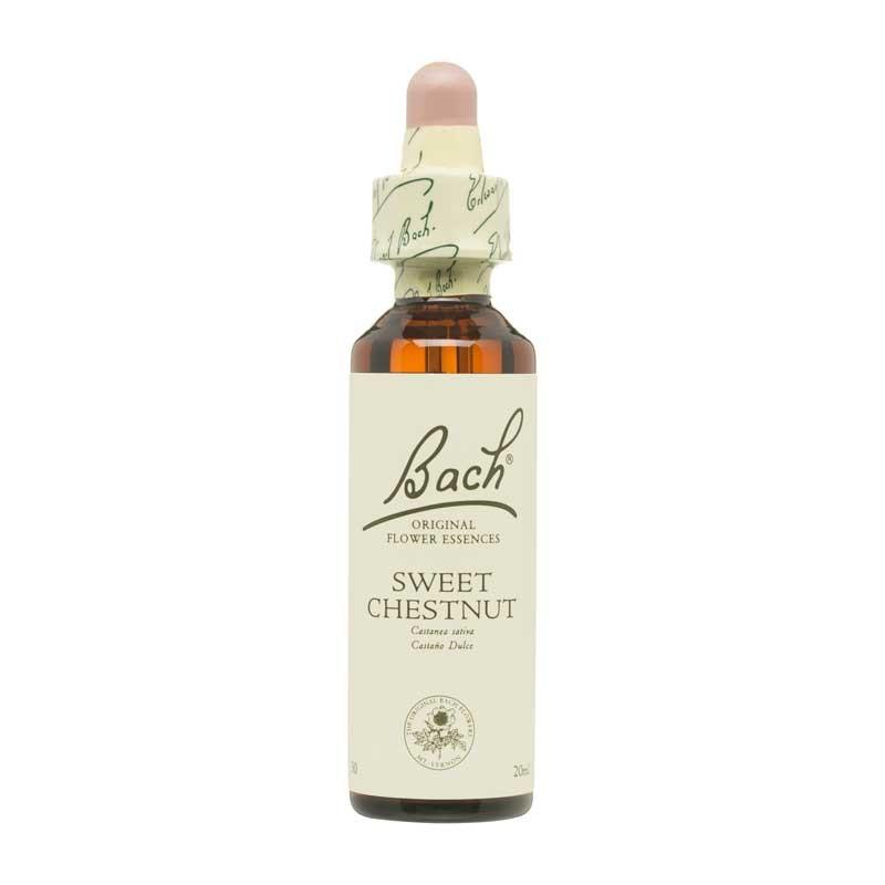 Flor nº 30 Castaño dulce (sweet chestnut) 20ml Bach