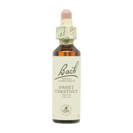 Flor nº 30 Castaño dulce (sweet chestnut) 20ml Bach