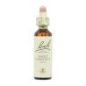 Flor nº 30 Castaño dulce (sweet chestnut) 20ml Bach