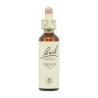Flor nº 31 Verbena (vervain) 20ml Bach