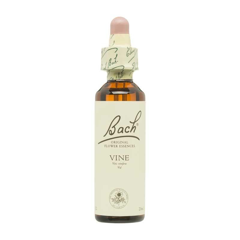 Flor nº 32 Vid (vine) 20ml Bach