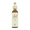 Flor nº 32 Vid (vine) 20ml Bach
