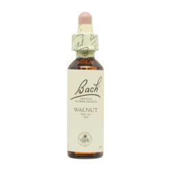 Flor nº 33 Nogal (walnut) 20ml Bach