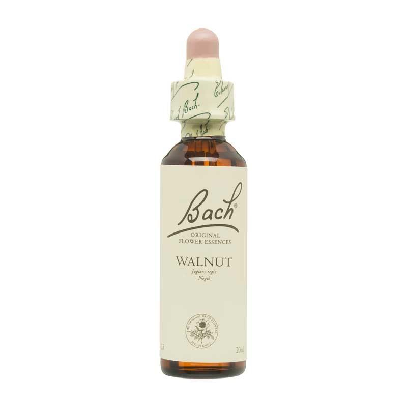Flor nº 33 Nogal (walnut) 20ml Bach