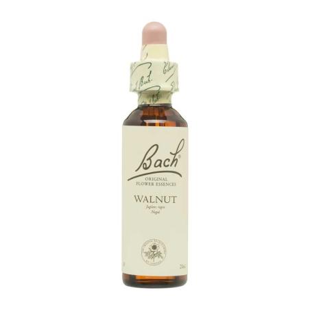 Flor nº 33 Nogal (walnut) 20ml Bach
