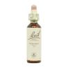 Flor nº 33 Nogal (walnut) 20ml Bach