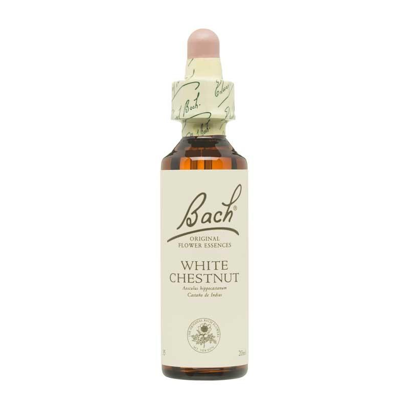 Flor nº 35 Castaño de indias (white chestnut) 20ml Bach