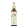 Flor nº 35 Castaño de indias (white chestnut) 20ml Bach