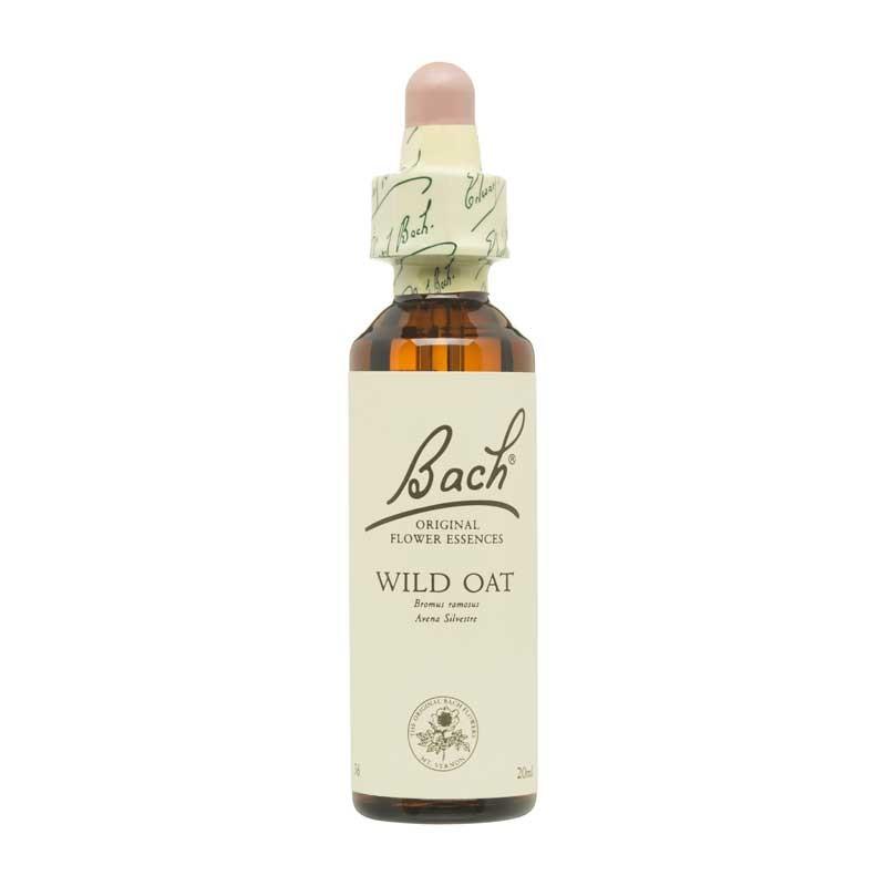 Flor nº 36 Avena silvestre (wild oat) 20ml Bach