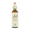 Flor nº 36 Avena silvestre (wild oat) 20ml Bach