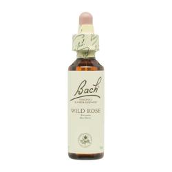 Flor nº 37 Rosa silvestre (wild rose) 20ml Bach