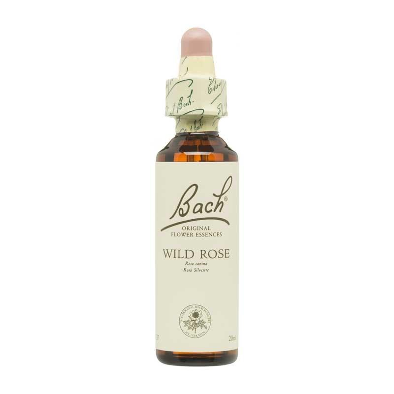 Flor nº 37 Rosa silvestre (wild rose) 20ml Bach