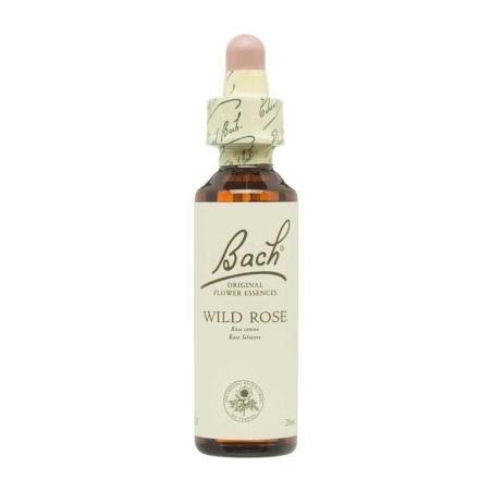Flor nº 37 Rosa silvestre (wild rose) 20ml Bach