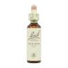 Flor nº 37 Rosa silvestre (wild rose) 20ml Bach