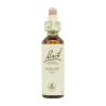 Flor nº 38 Sauce (willow) 20ml Bach