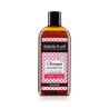 Champu Epigenetico cabello graso 250ml Nuggela & sulé