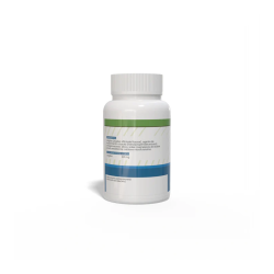 Jengibre 430mg 120 capsulas Sotya