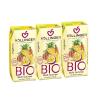Zumo Multi Sunrise (multifrutas) Bio 3x200ml Hollinger