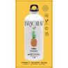 Bebida Soluble Piña 15x9g Bragulat