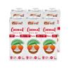 Bebida coconut nature sin azucar Bio 6x1L Ecomil