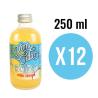 Kombucha Piña Colada Bio 12x250ml Komvida