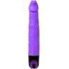 BAILE - VIBRATOR MULTISPEED 21.5 CM MORADO